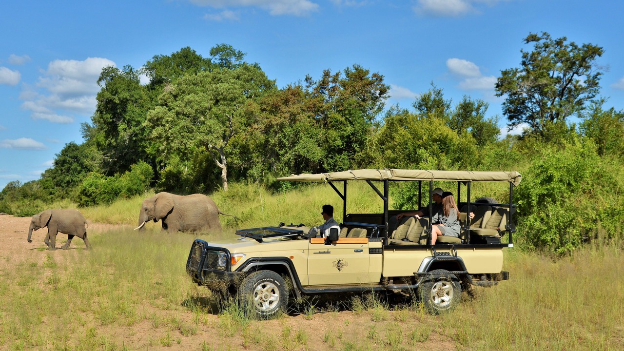 Photo of Outdoor in Kruger National Park
