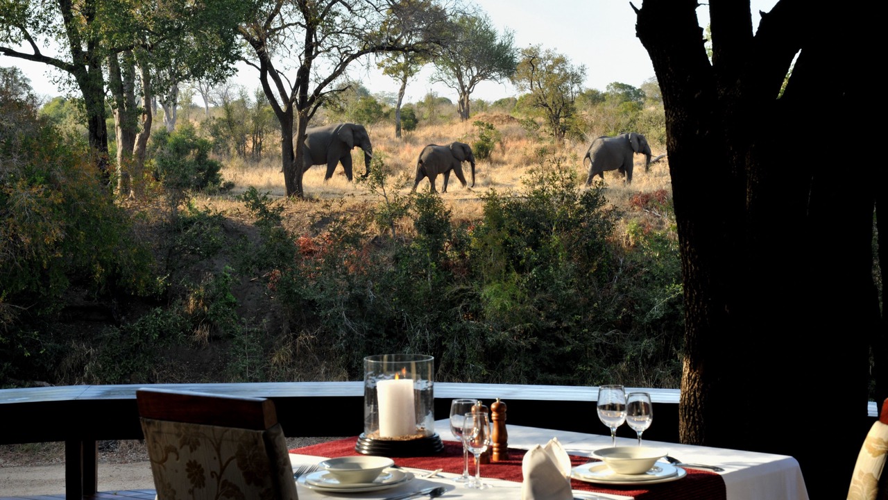 Photo of Others in Kruger National Park