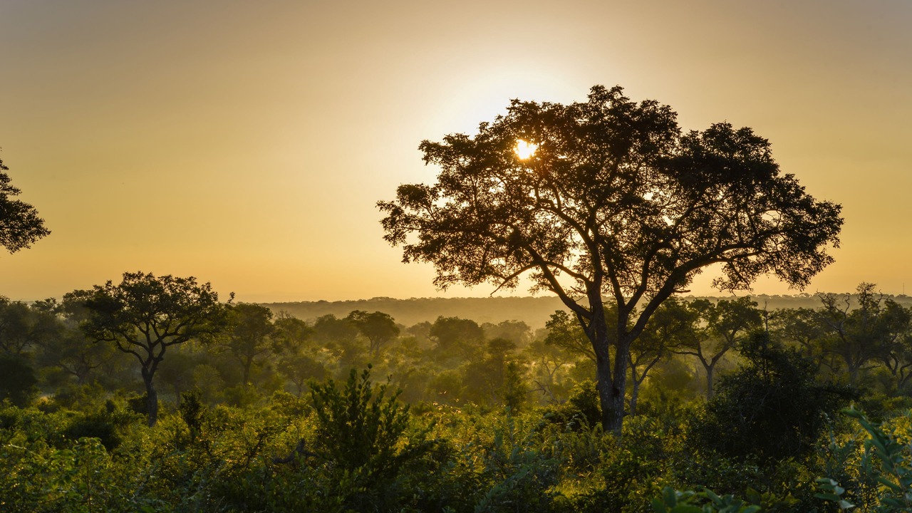 Photo of Others in Kruger National Park