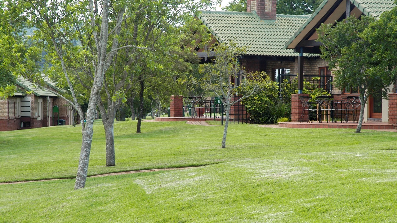 Photo of Outdoor in White River