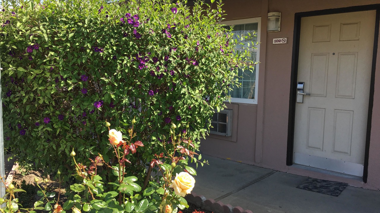 Photo of Outdoor in Los Banos