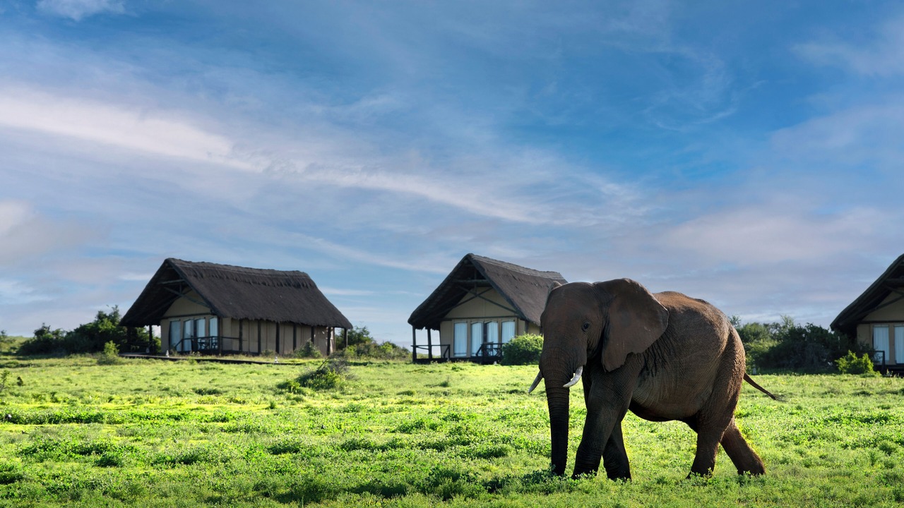 Photo of Bedroom in Addo