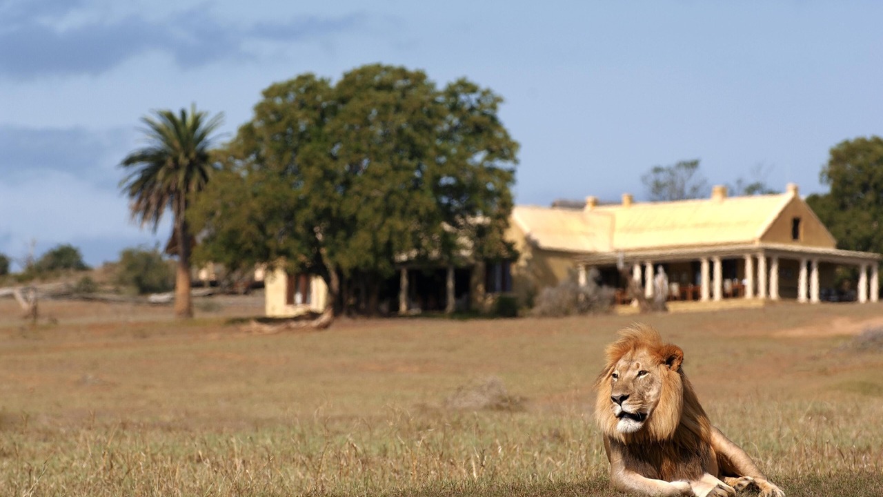 Photo of Others in Addo