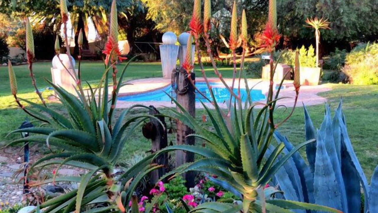 Photo of Outdoor in Oudtshoorn