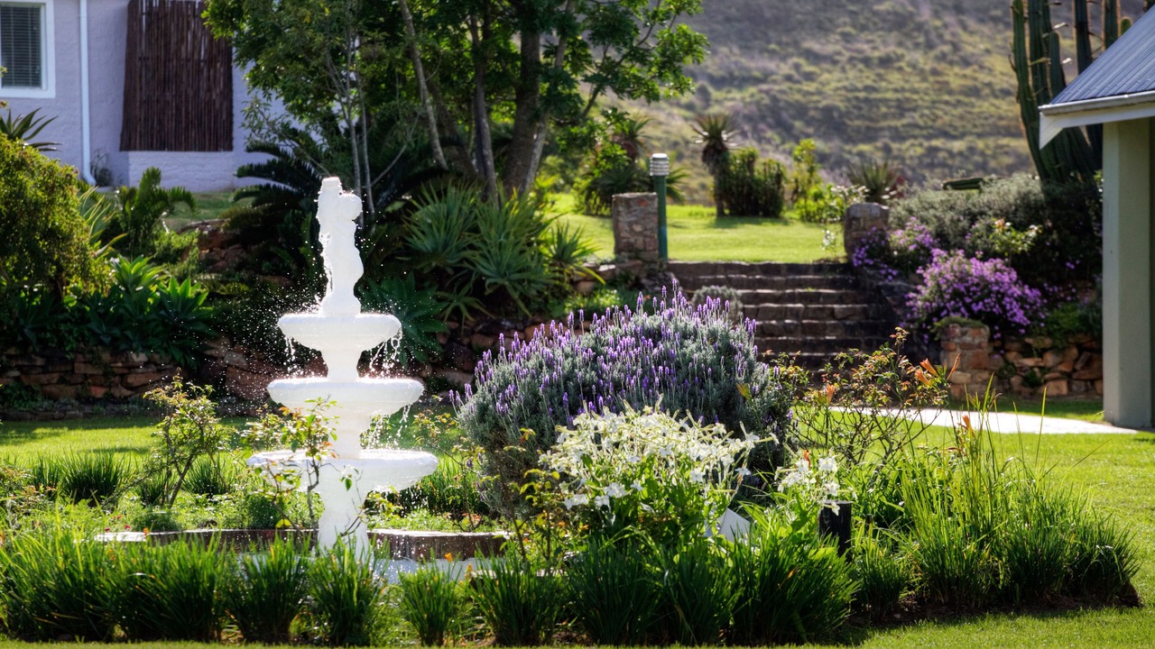 Photo of Outdoor in Addo