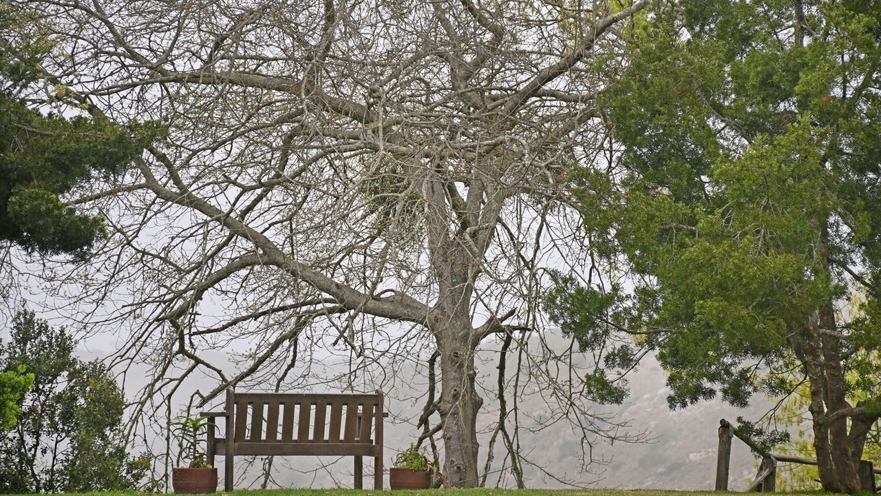 Photo of Outdoor in Addo