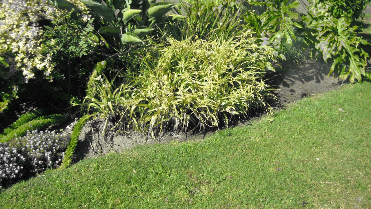 Photo of Outdoor in Milnerton