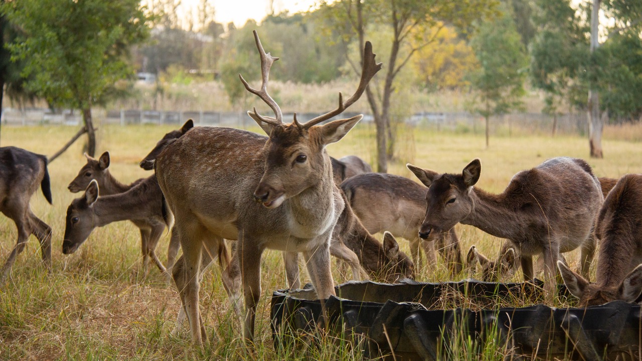 Photo of Outdoor in Kempton Park