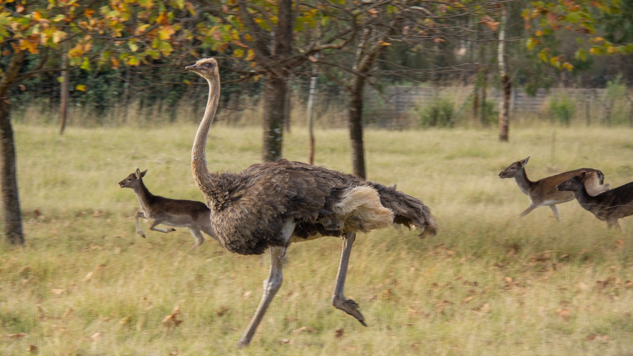 Photo of Outdoor in Kempton Park