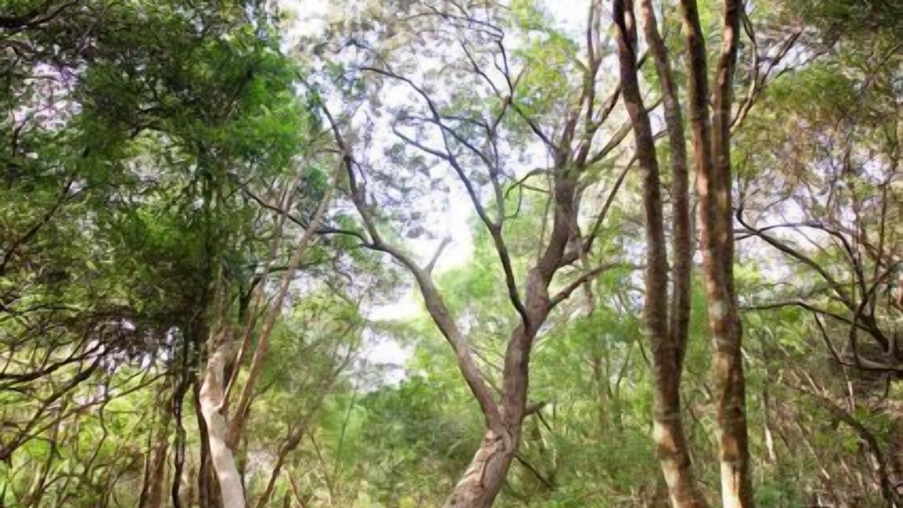 Photo of Outdoor in Knysna