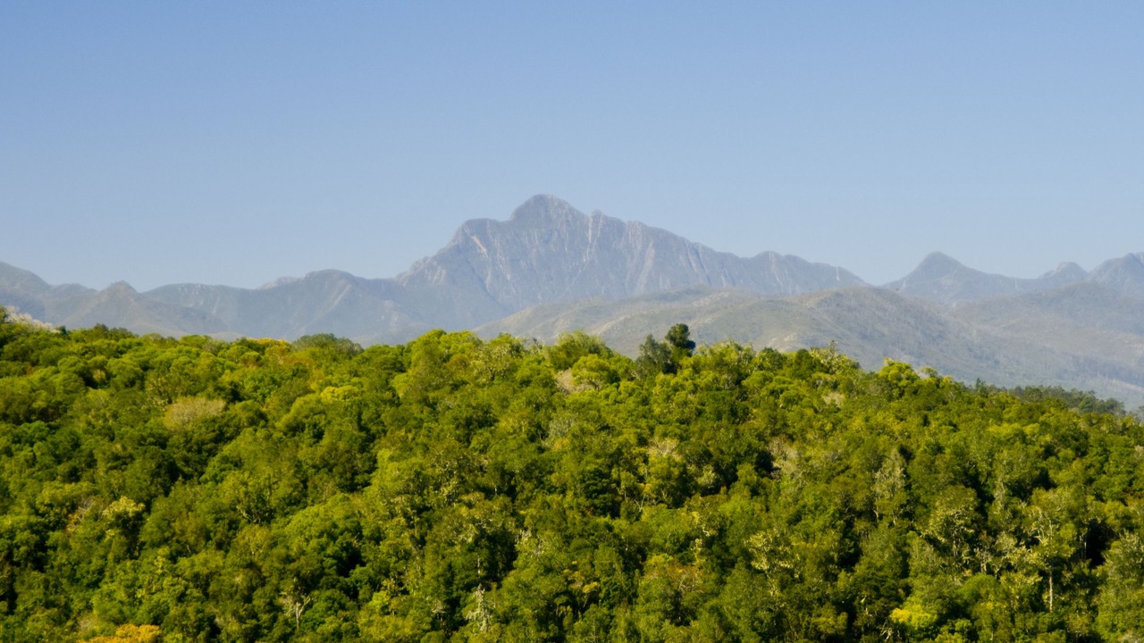 Photo of Outdoor in Die Barakke