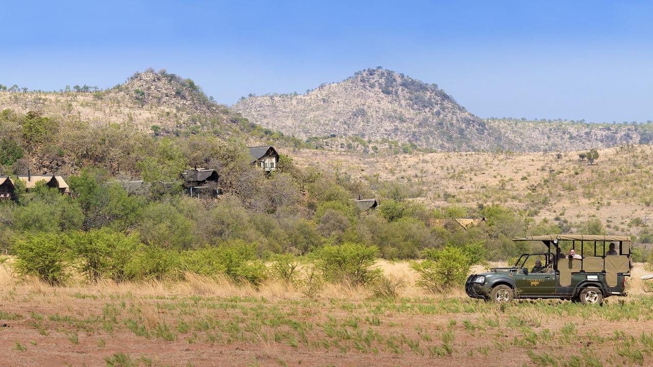 Photo of Others in Pilanesberg National Park