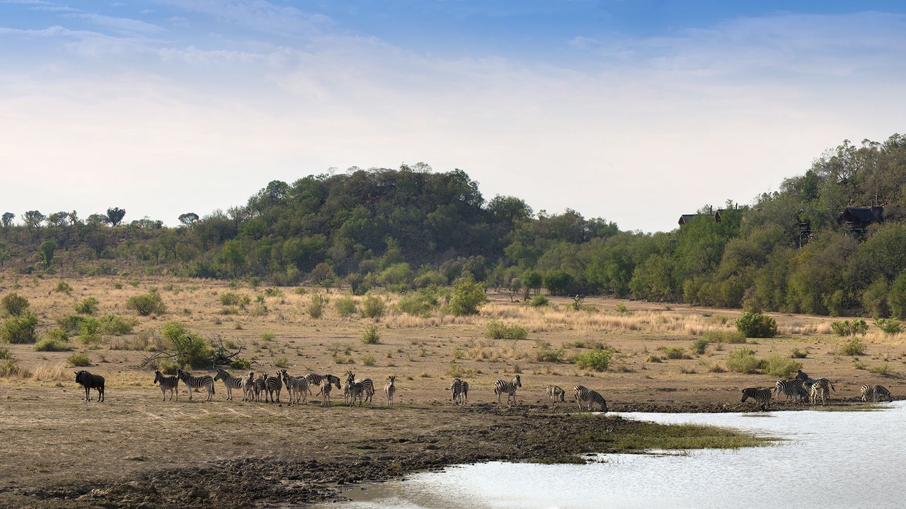Photo of Outdoor in Pilanesberg National Park