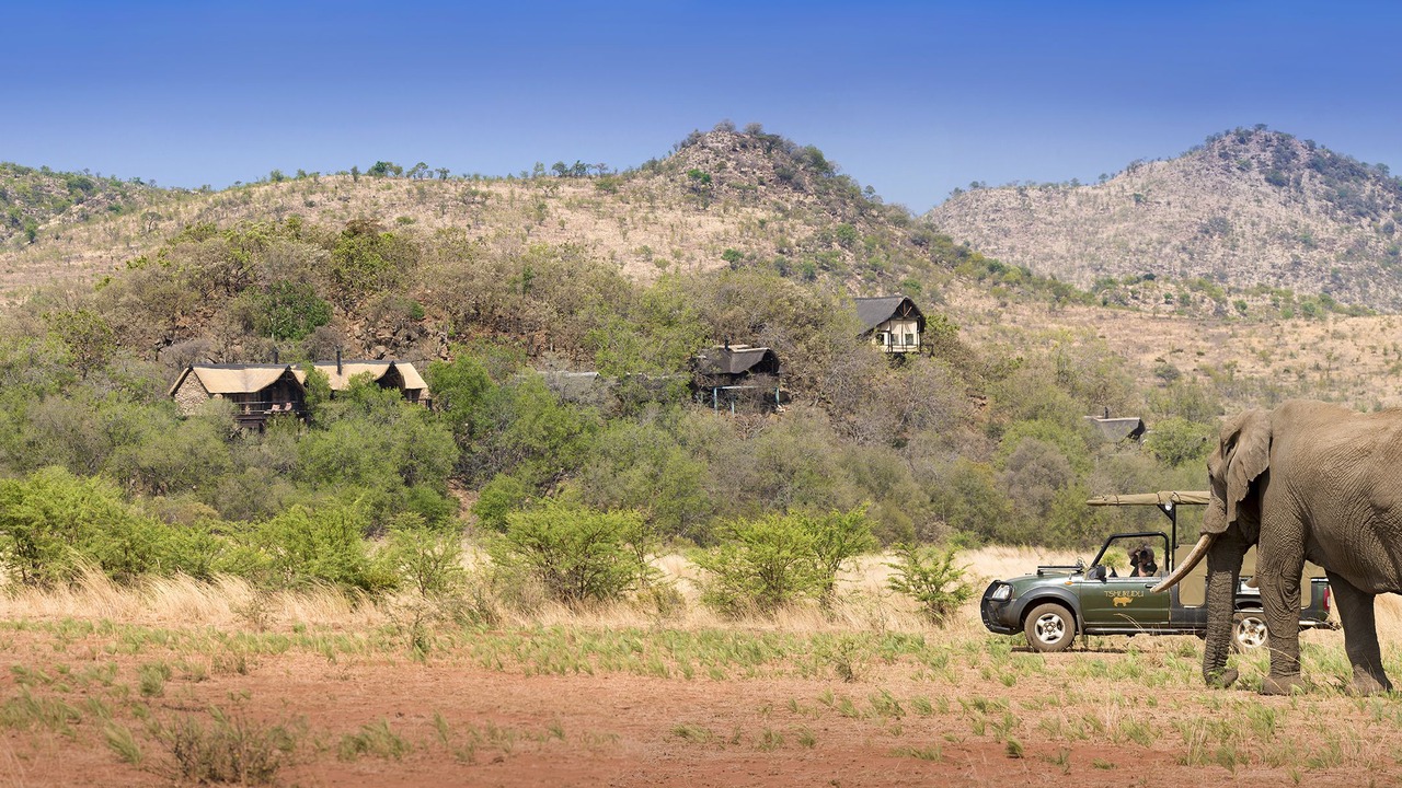 Photo of Others in Pilanesberg National Park