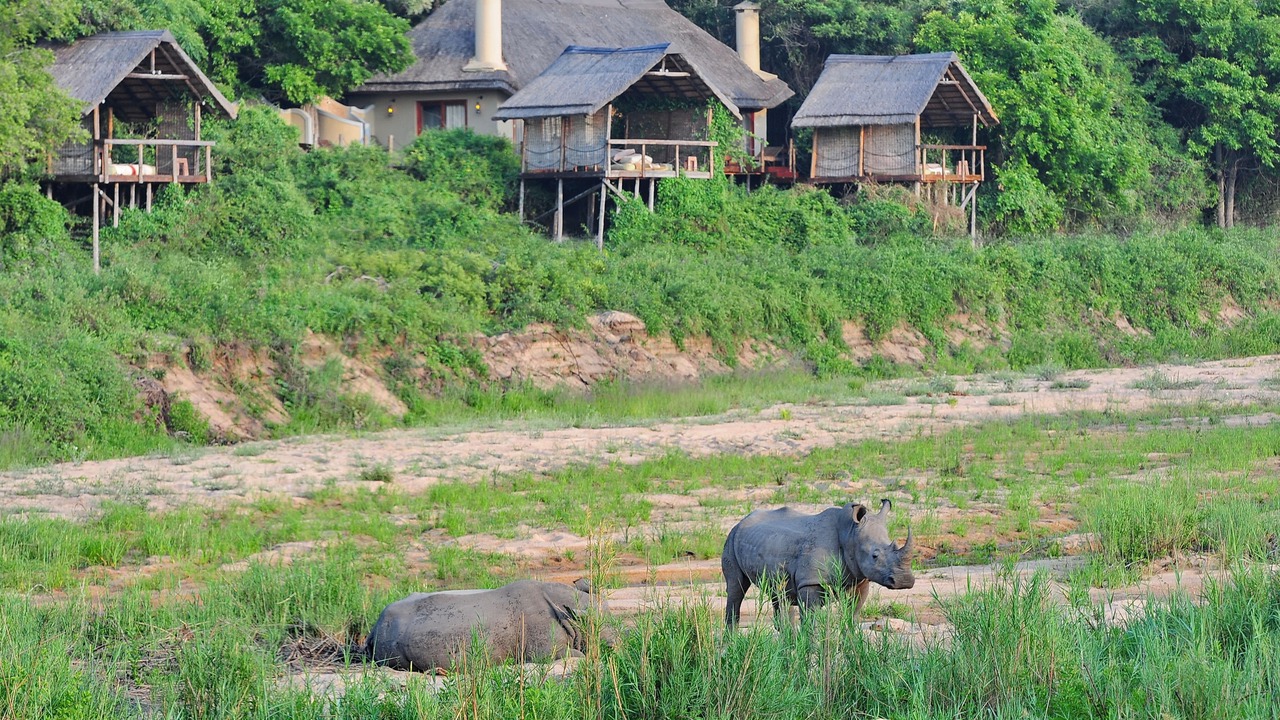 Photo of Outdoor in Mbombela