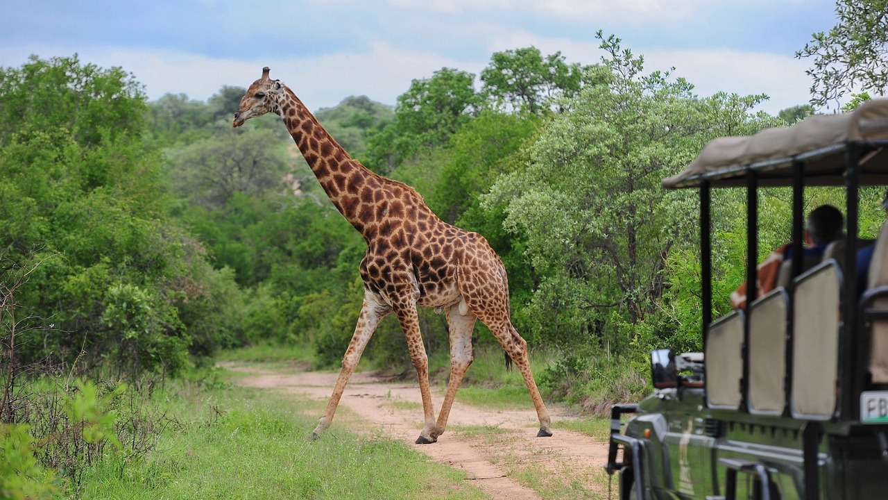 Photo of Others in Mbombela