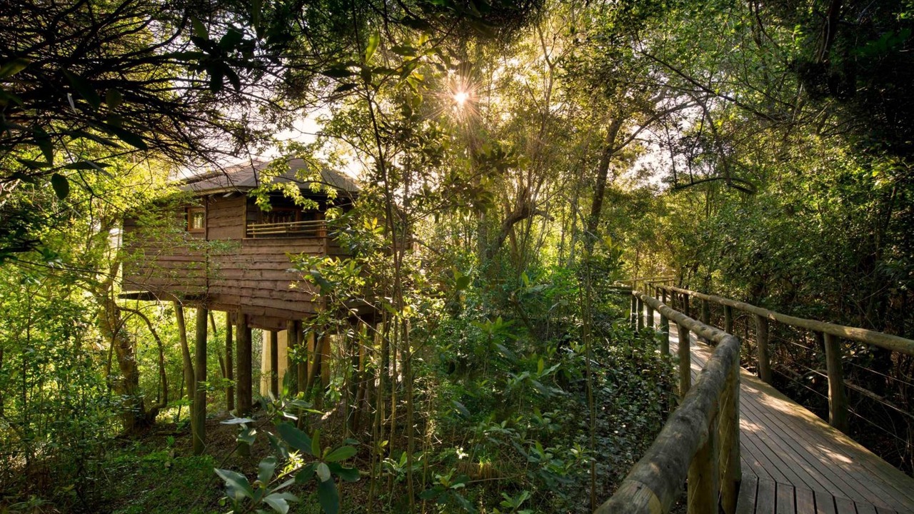 Photo of Outdoor in Buffalo Hills Game Reserve