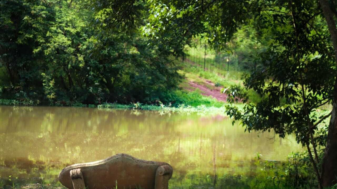 Photo of Outdoor in Makhado