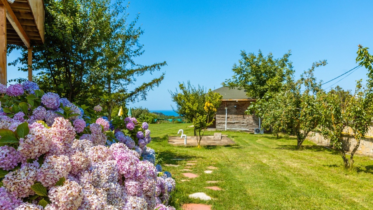 Photo of Outdoor in Sile