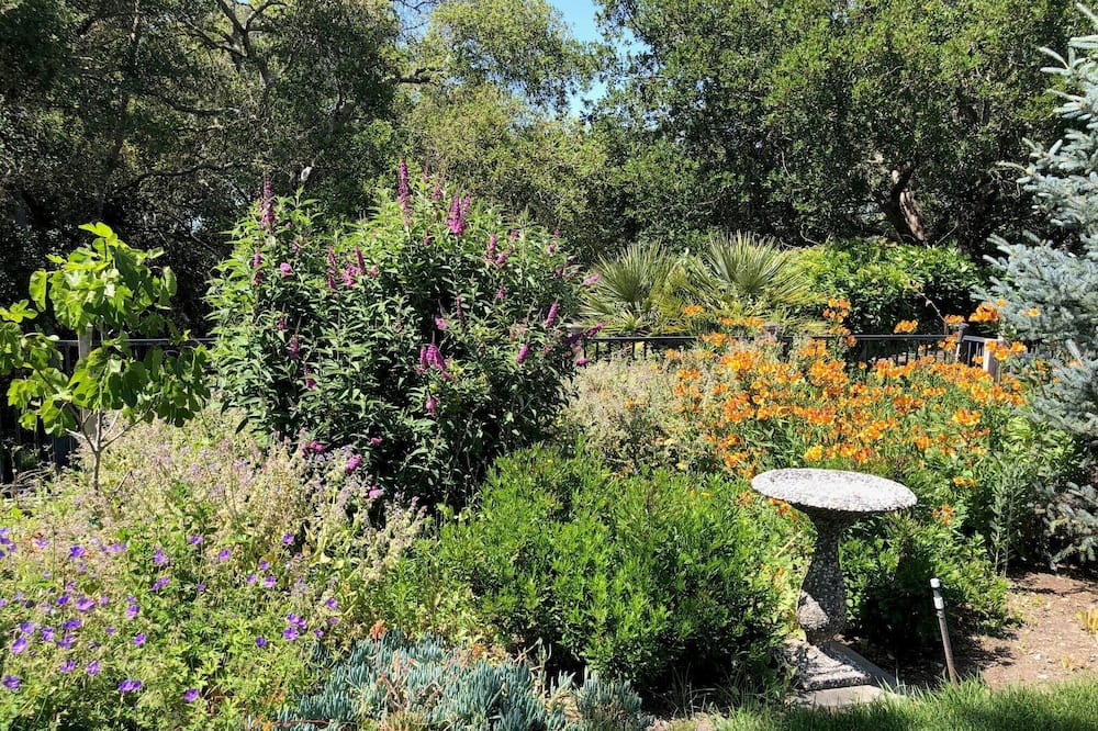 Photo of Outdoor in Santa Rosa