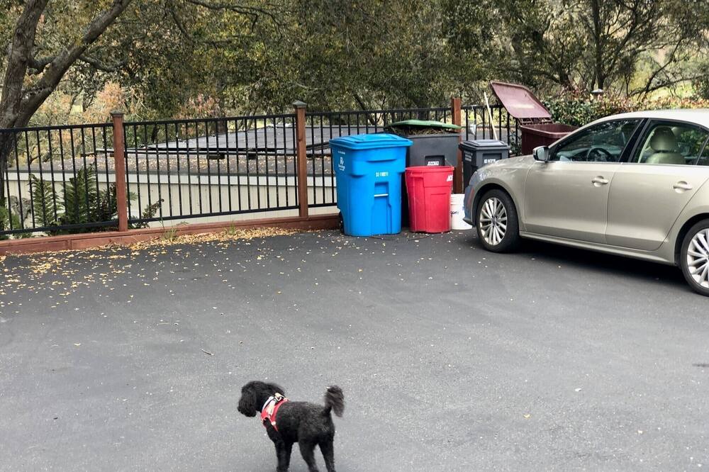 Photo of Others in Santa Rosa