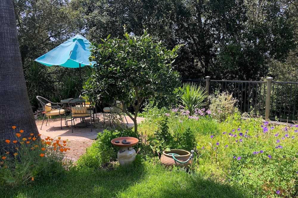 Photo of Outdoor in Santa Rosa