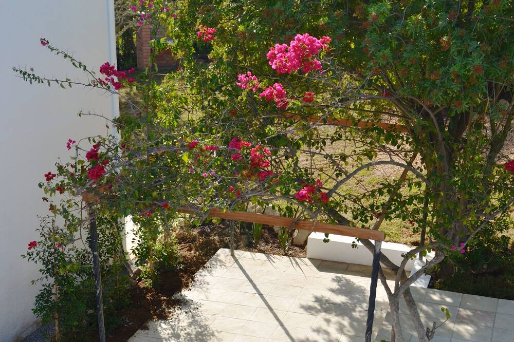 Photo of Patio Balcony in Stellenbosch