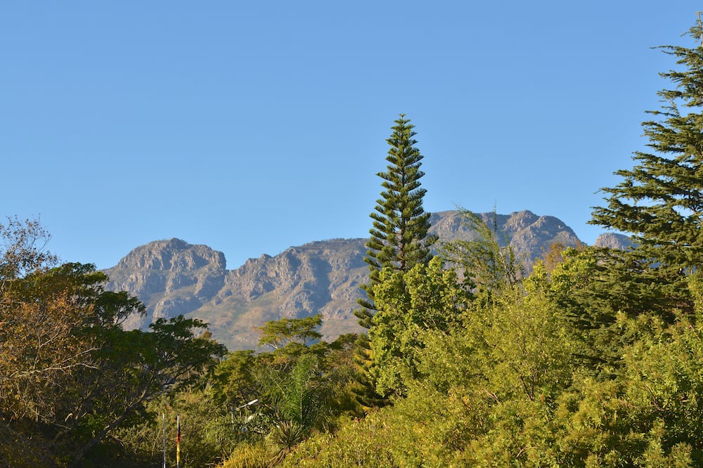 Photo of Others in Stellenbosch