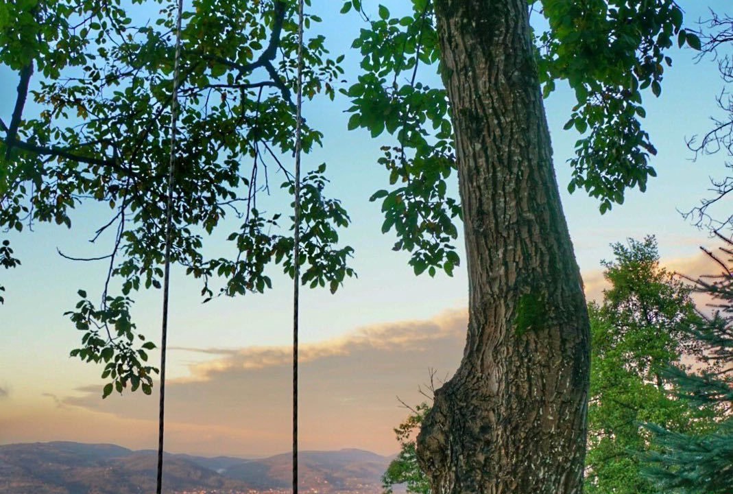 Photo of Outdoor in Sapanca