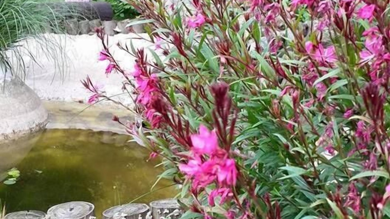 Photo of Outdoor in Sapanca