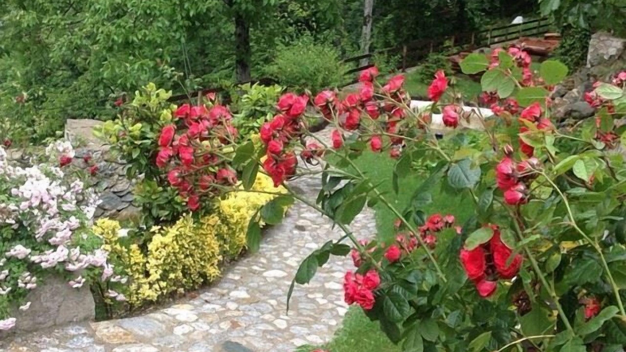 Photo of Outdoor in Sapanca