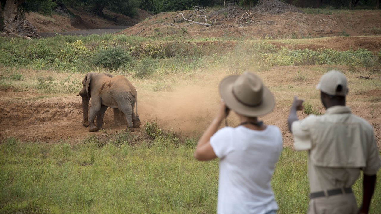 Photo of Others in Kruger National Park