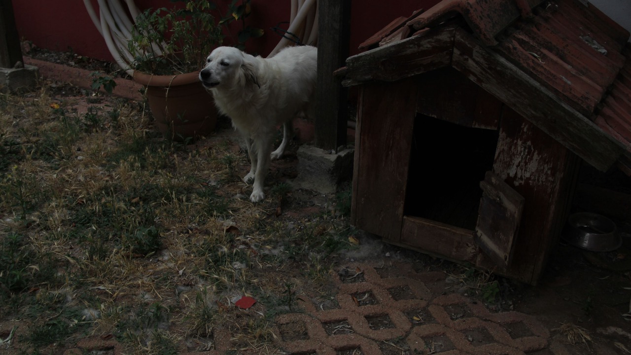 Photo of Others in Sile