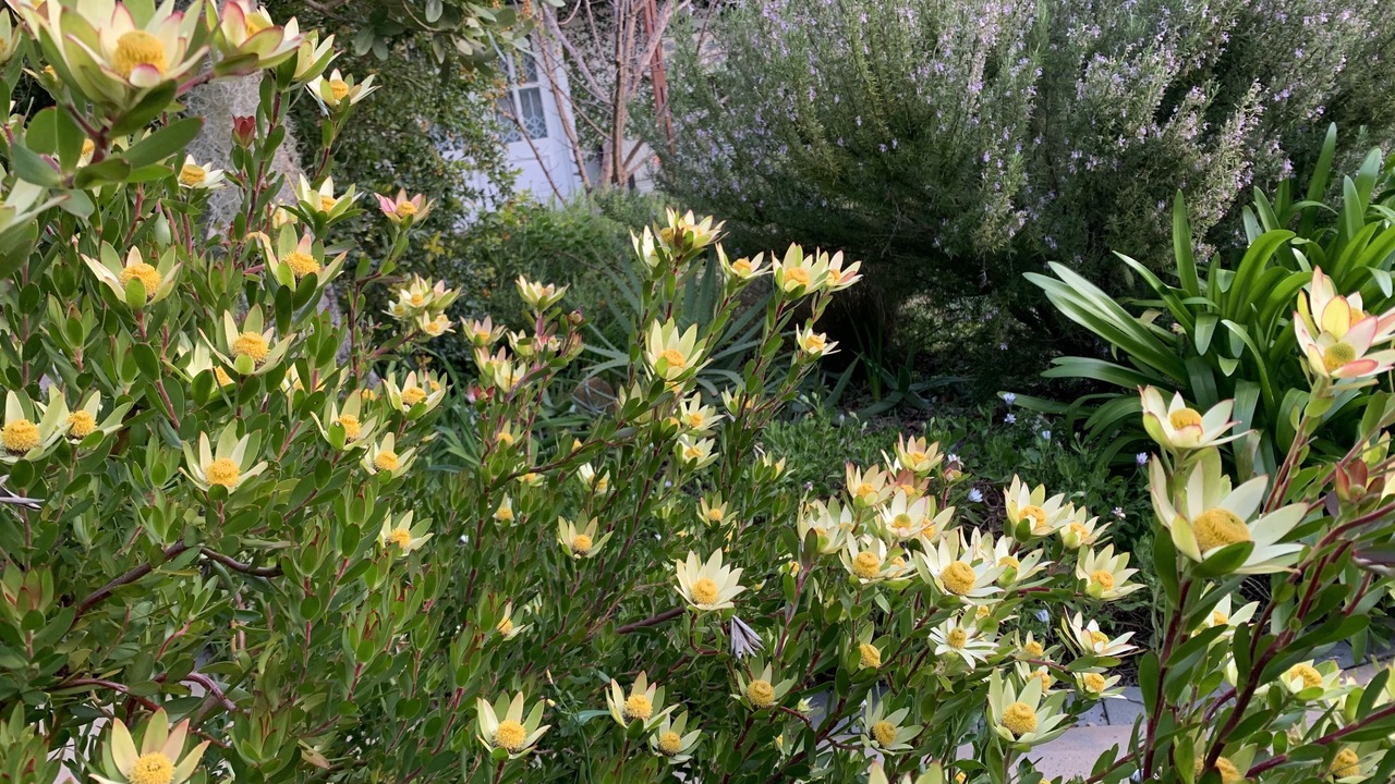 Photo of Outdoor in Somerset West