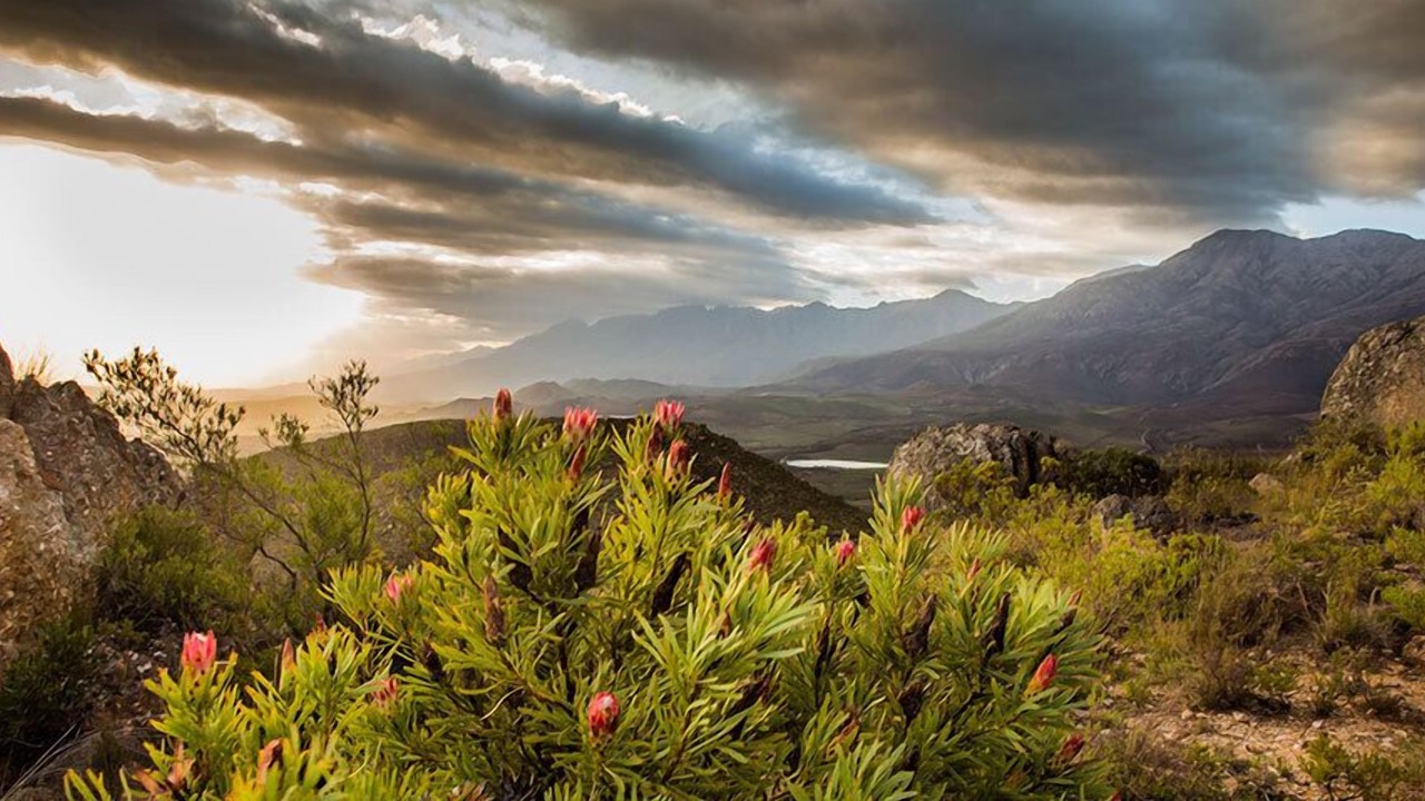 Photo of Others in Oudtshoorn