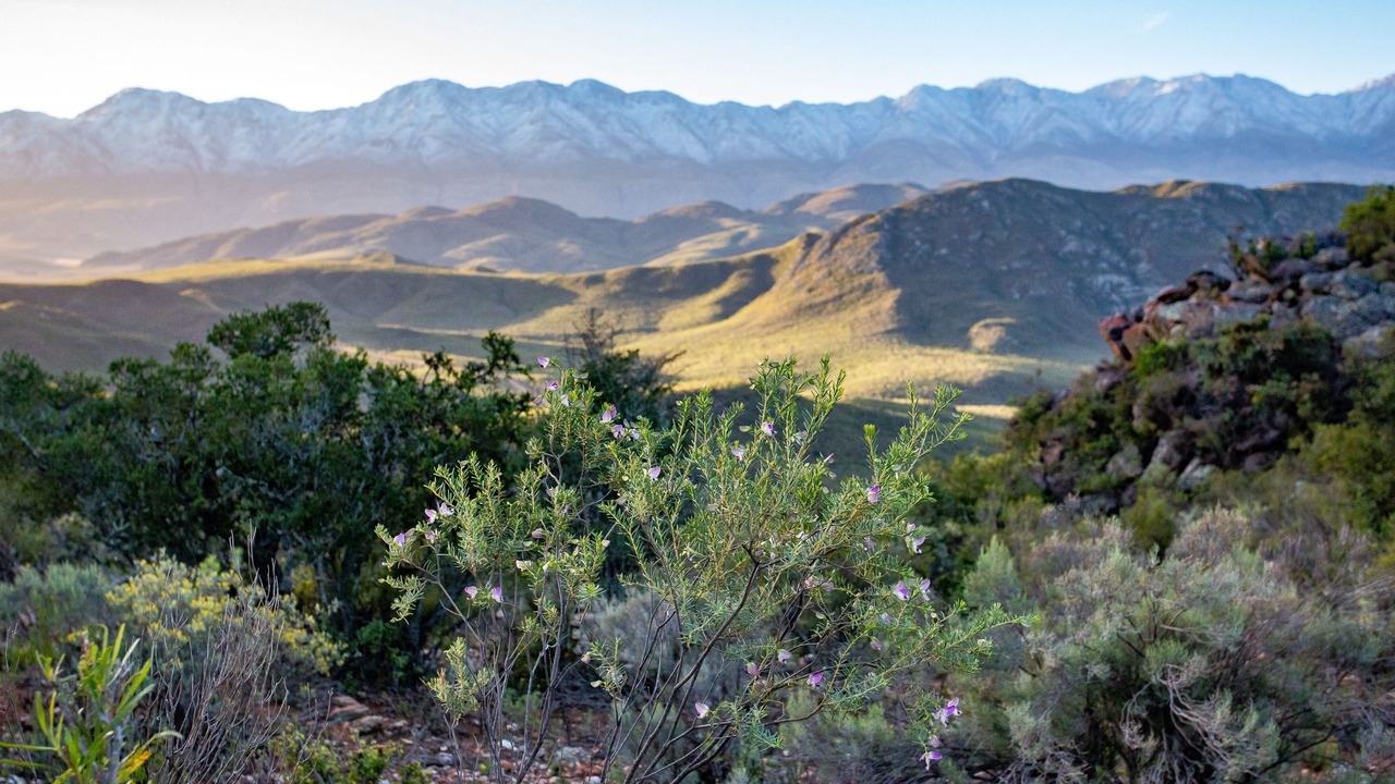 Photo of Others in Oudtshoorn