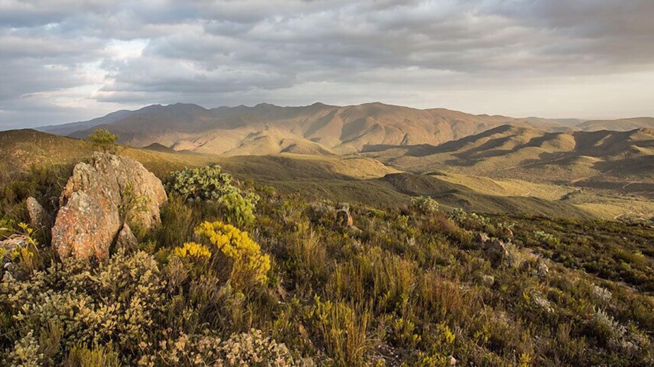 Photo of Outdoor in Oudtshoorn