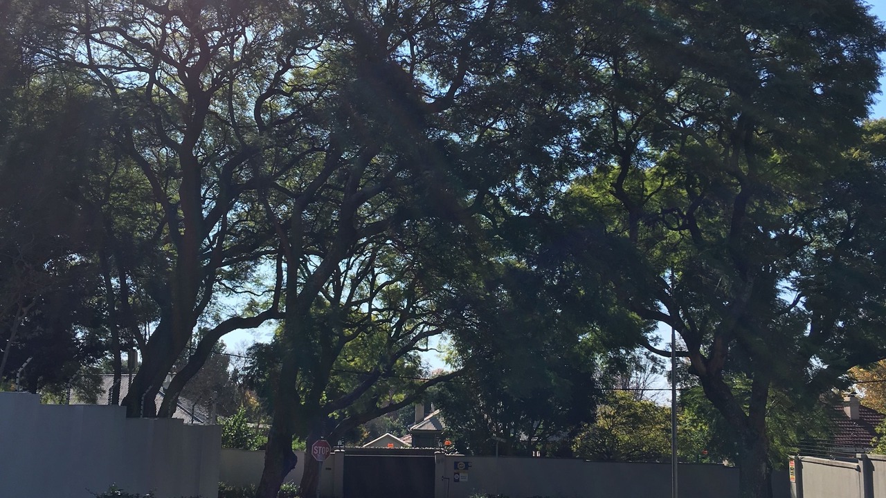 Photo of Outdoor in Parkview