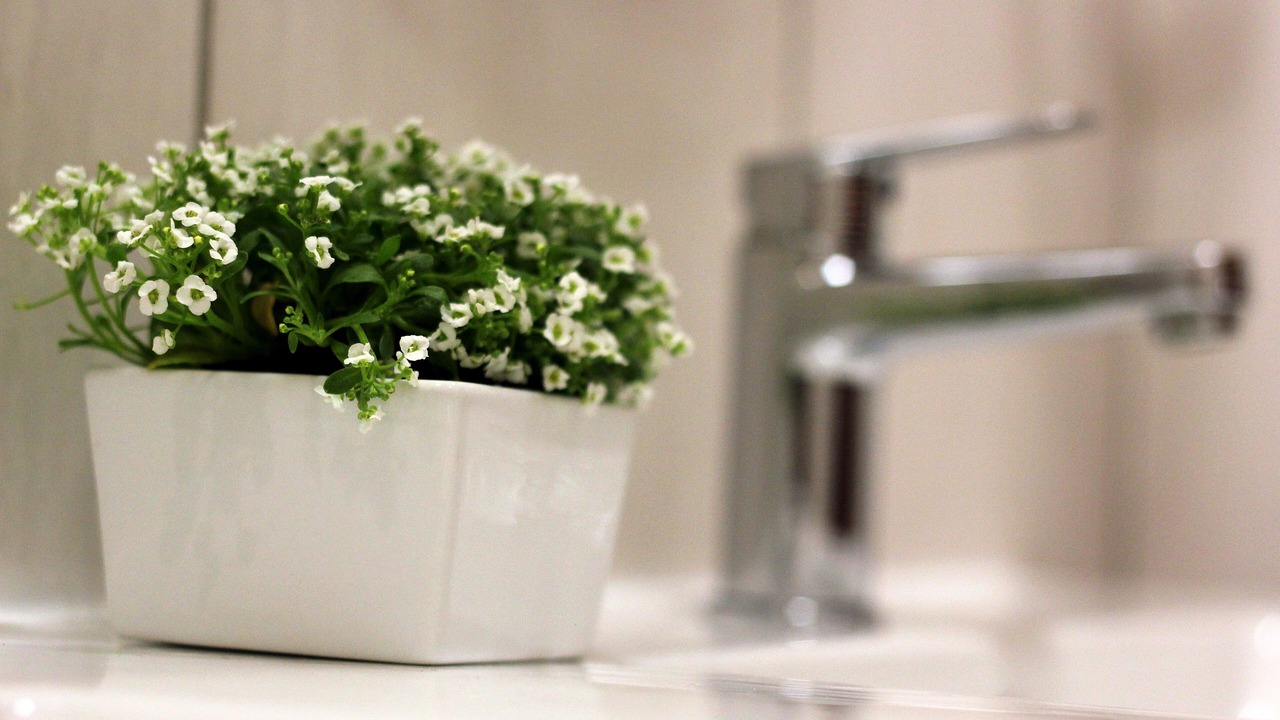 Photo of Bathroom in Middelburg
