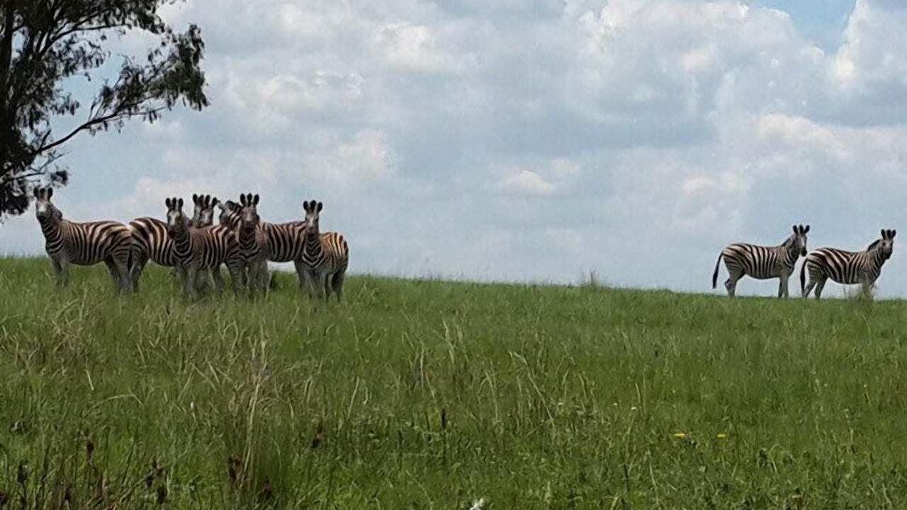 Photo of Others in Heilbron