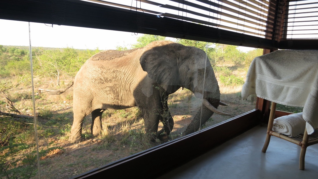 Photo of Bedroom in Kruger National Park