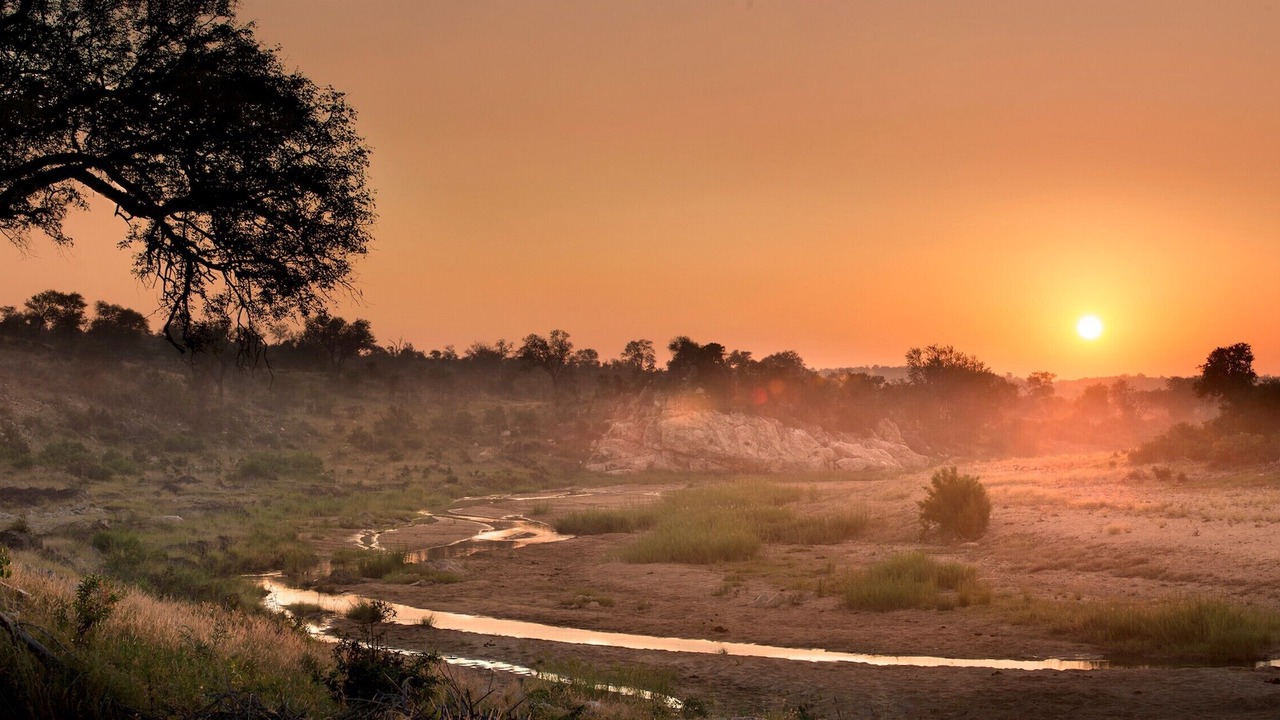 Photo of Outdoor in Kruger National Park