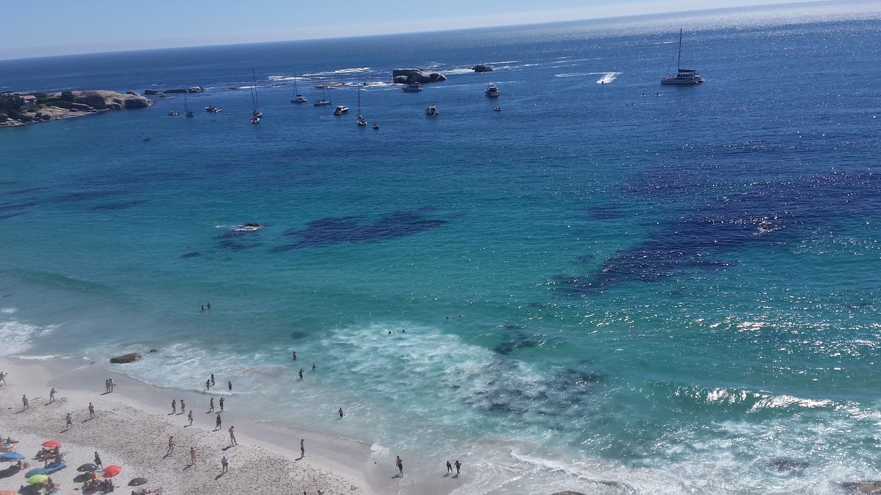 Photo of Others in Clifton