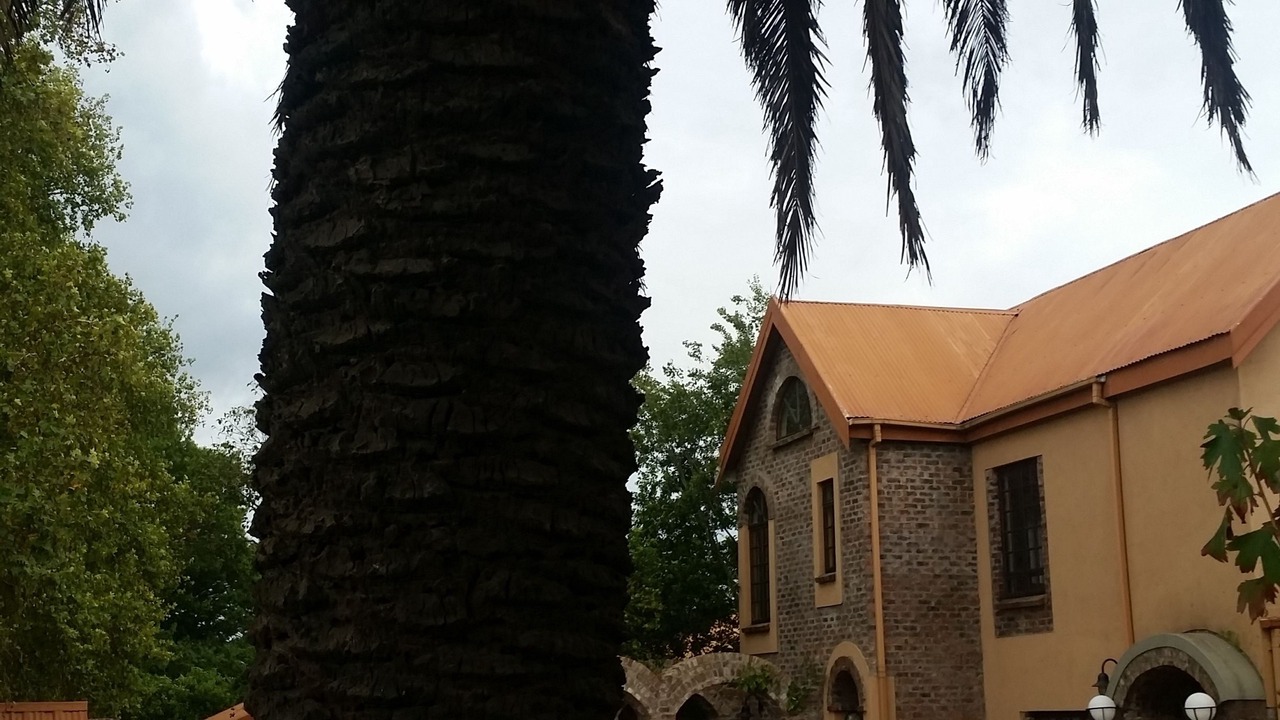 Photo of Outdoor in Ermelo
