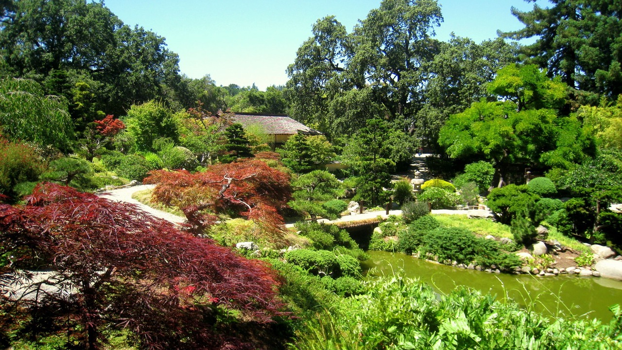 Photo of Outdoor in Sunnyvale West
