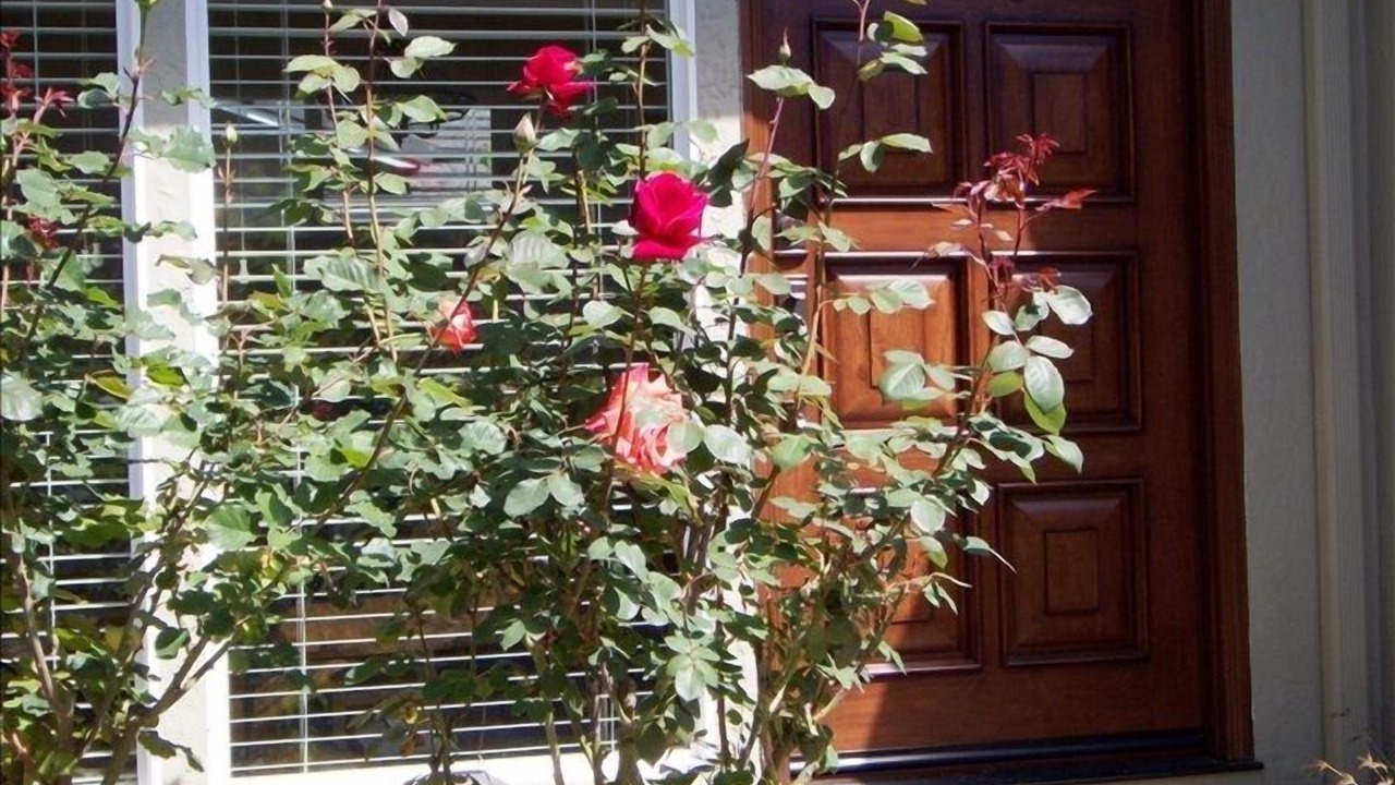 Photo of Others in Sunnyvale West