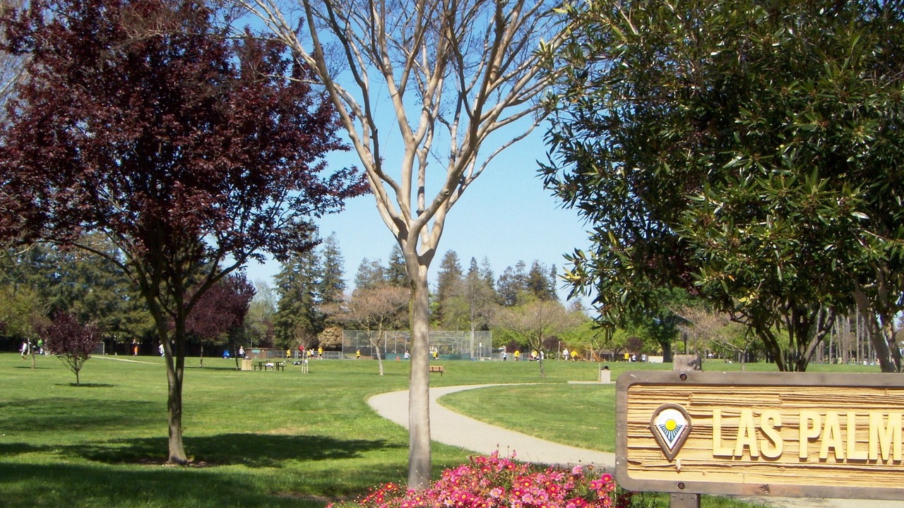 Photo of Outdoor in Sunnyvale West