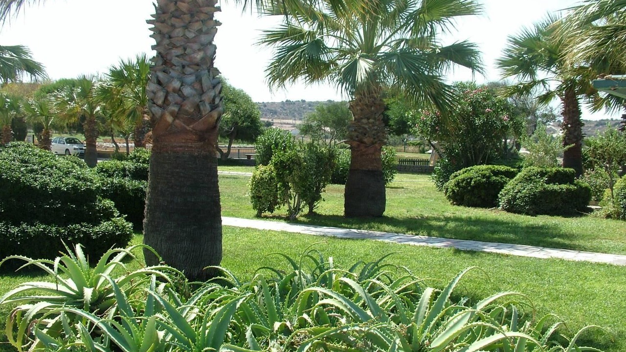 Photo of Outdoor in Altınkum Mahallesi