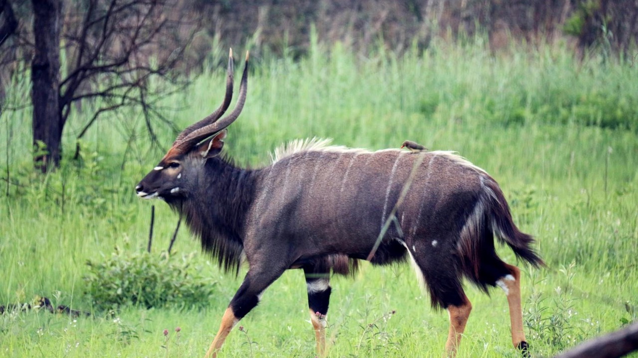 Photo of Outdoor in Hammanskraal