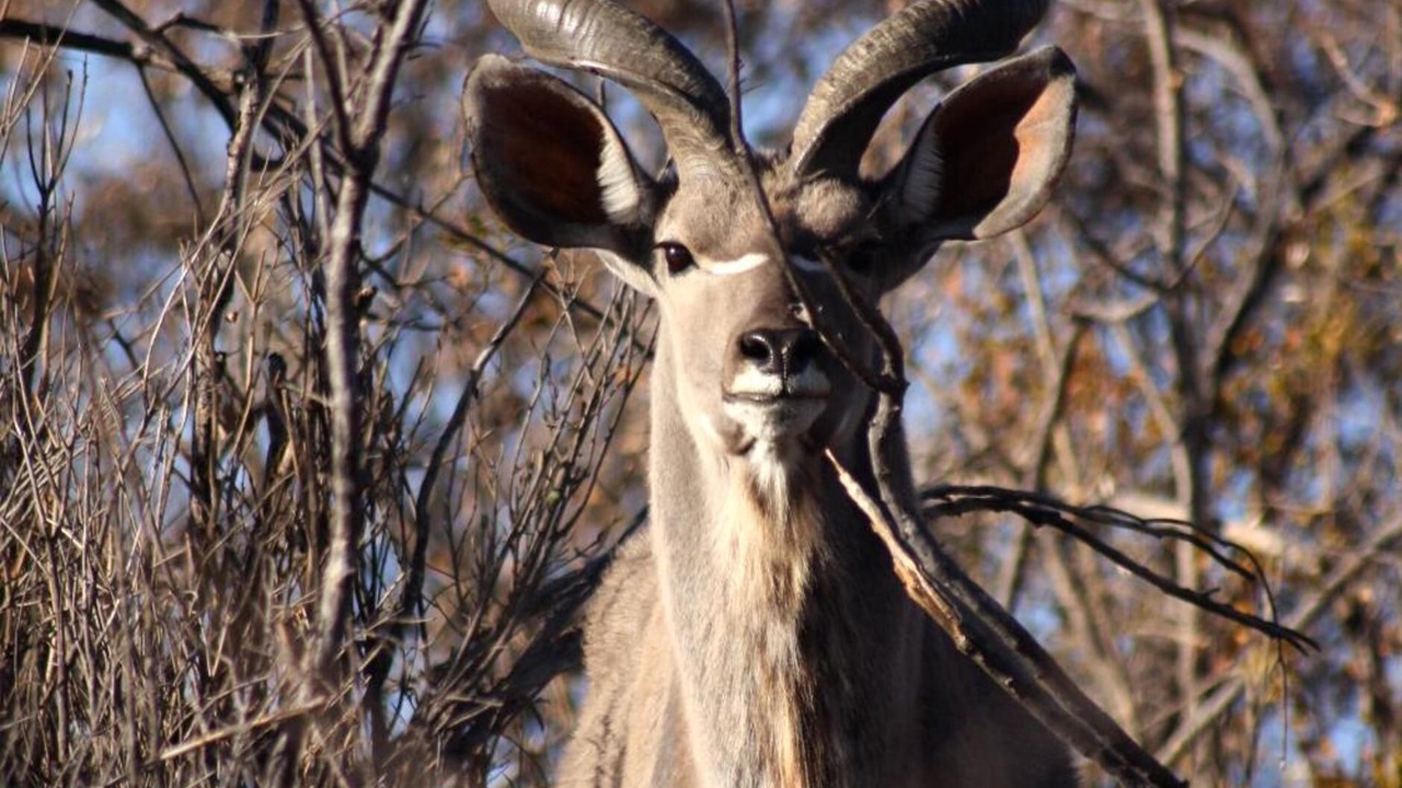 Photo of Outdoor in Hammanskraal
